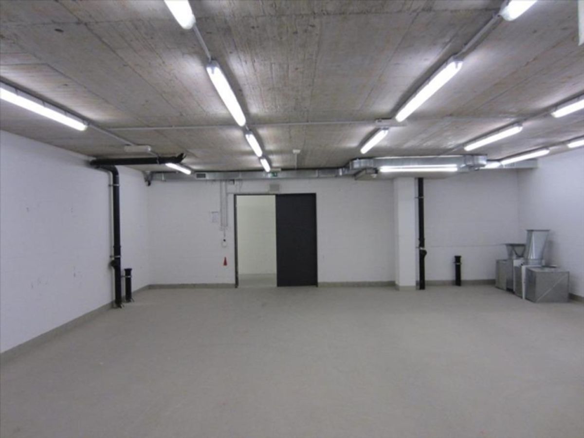 Lagerraum 50m2 in Winterthur zu vermieten - 1