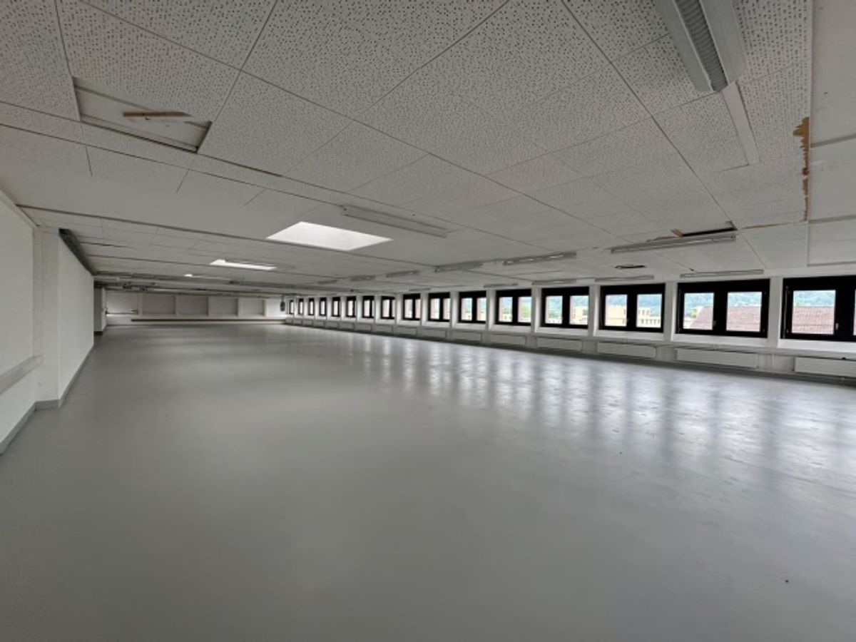 550m2 Moderne Gewerbefläche mit Laderampe - 9
