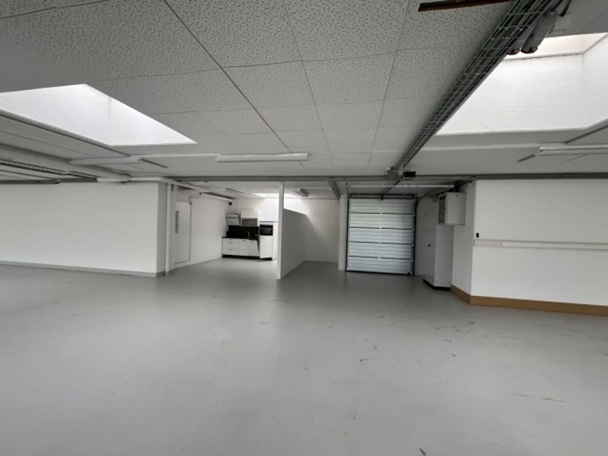 550m2 Moderne Gewerbefläche mit Laderampe - 11
