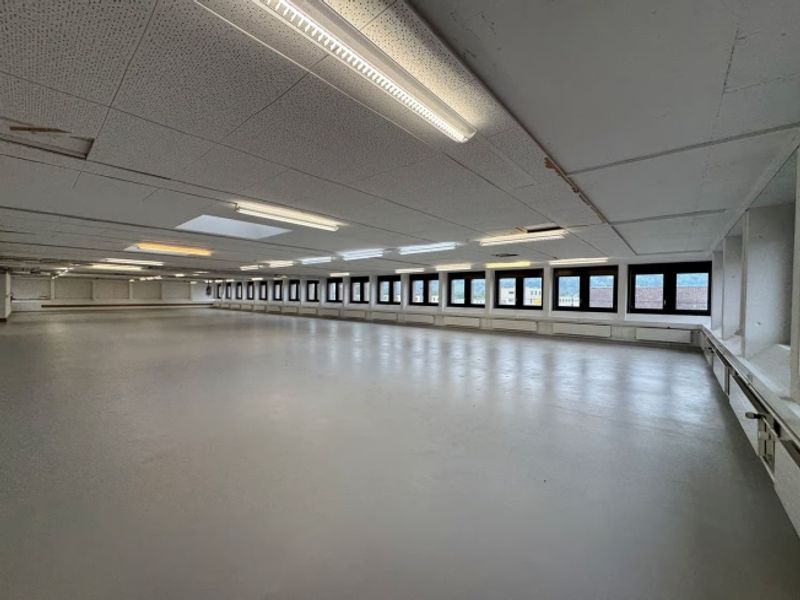 550m2 Moderne Gewerbefläche mit Laderampe - 5