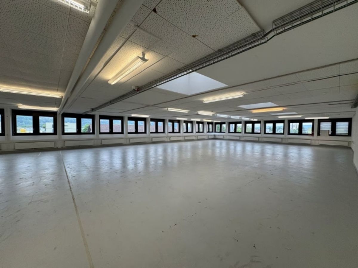 550m2 Moderne Gewerbefläche mit Laderampe - 5