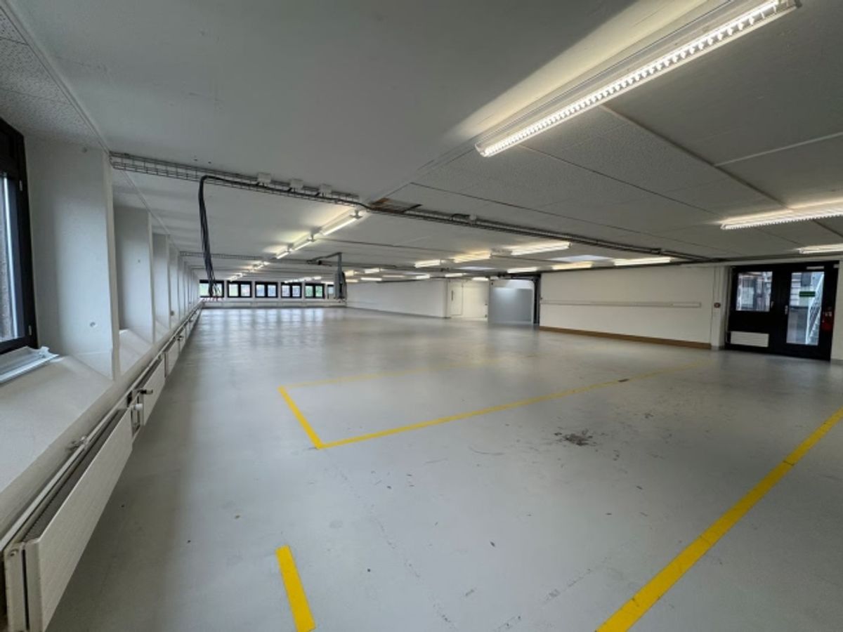 550m2 Moderne Gewerbefläche mit Laderampe - 8