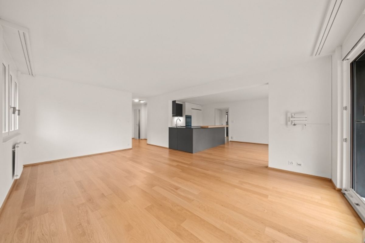 Einzigartige, geräumige Wohnungsmöglichkeit in einer ruhigen Lage mit Seeblick - 5