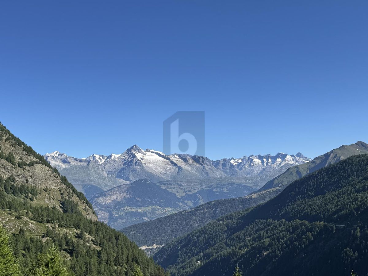 OPPORTUNITÉ HÔTELIÈRE UNIQUE AU CUR DES ALPES - 1