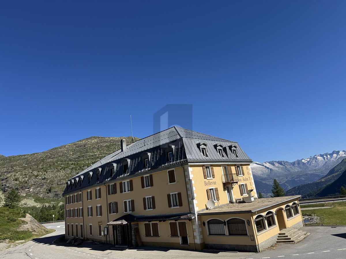 OPPORTUNITÉ HÔTELIÈRE UNIQUE AU CUR DES ALPES - 2