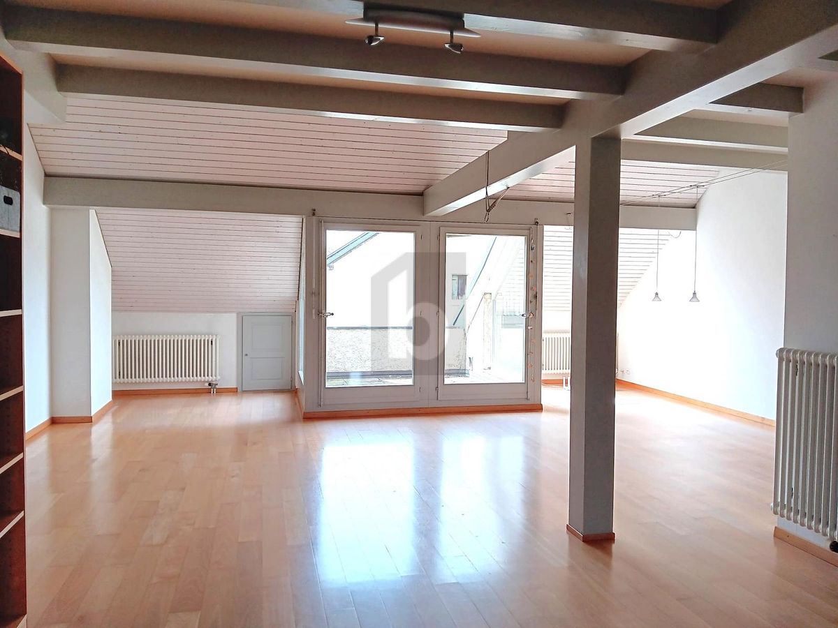 DUPLEX RARE ET UNIQUE ! - 2