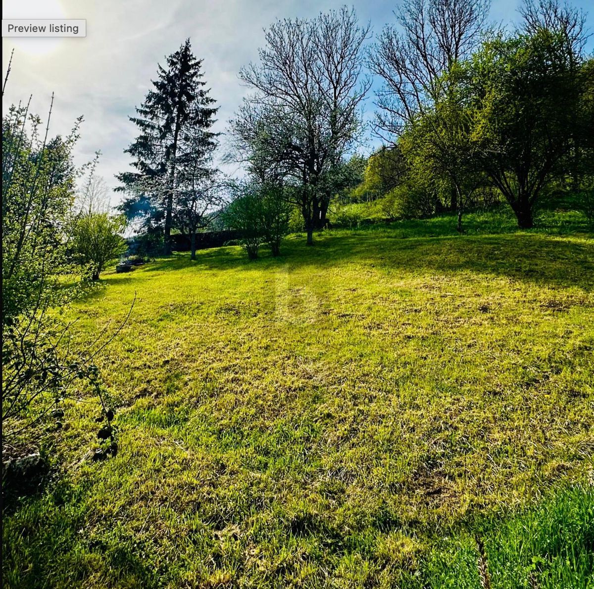POTENTIEL AU CUR DE SONVILIER - 0