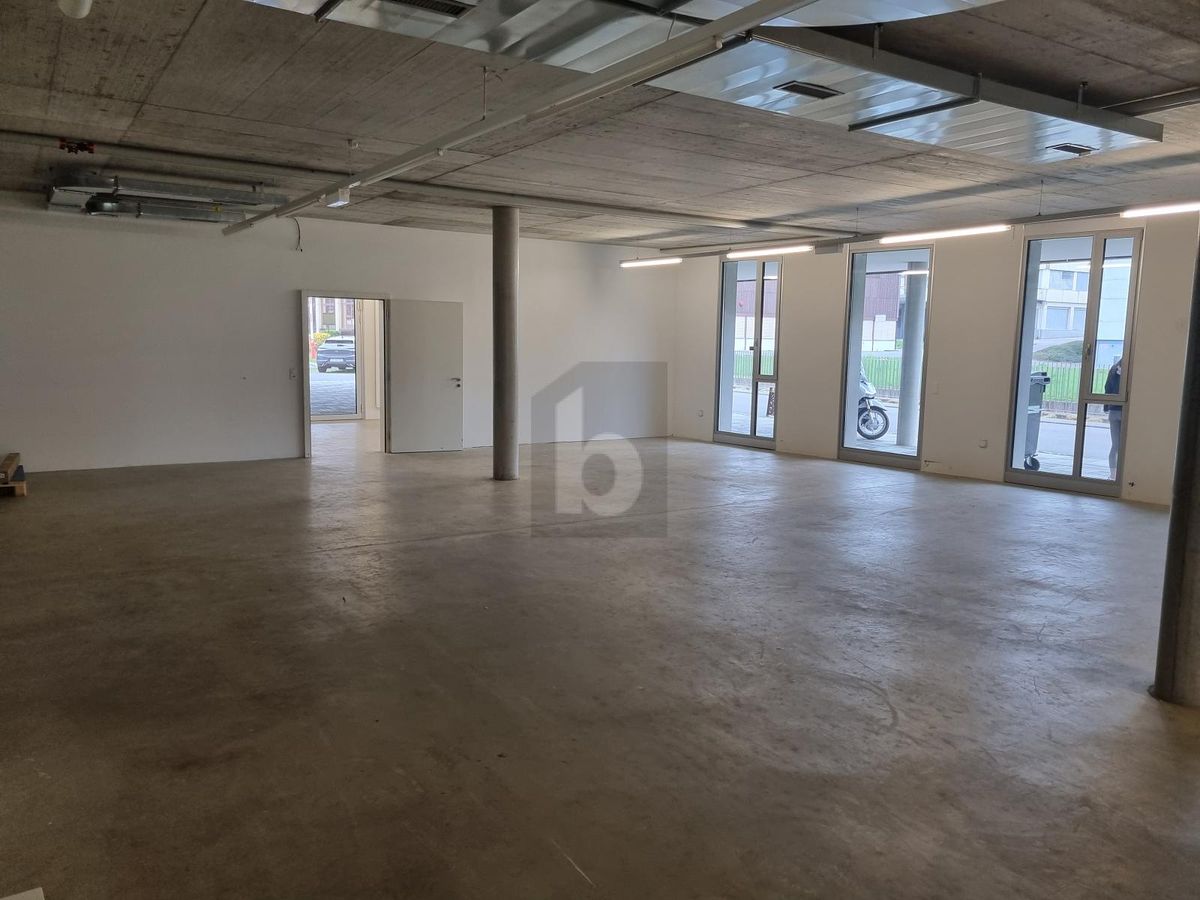 GRAND ESPACE, TRÈS BON EMPLACEMENT - 1