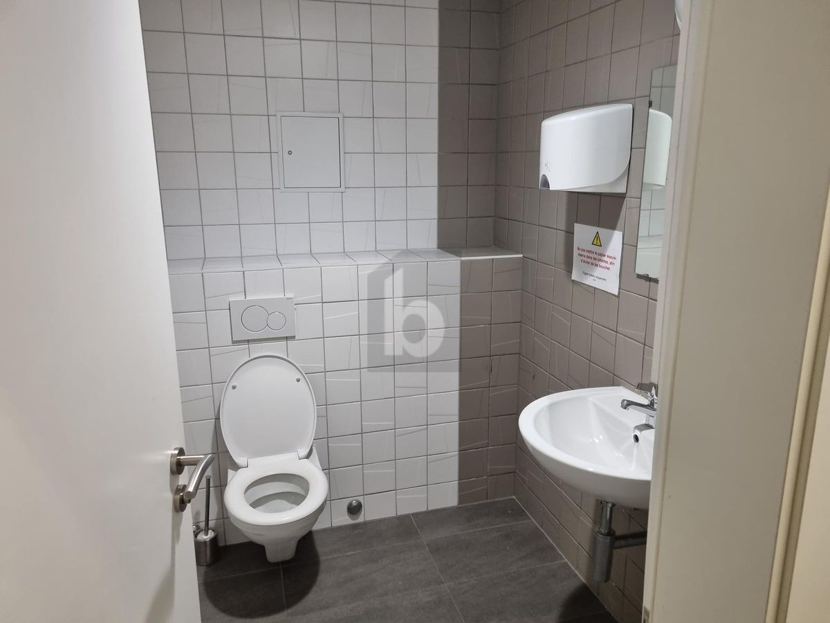 GRAND ESPACE, TRÈS BON EMPLACEMENT - 4
