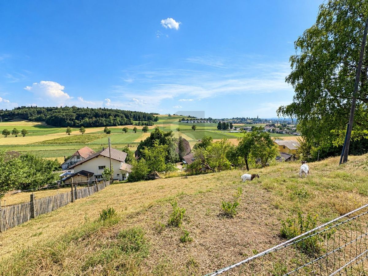 BAUPARADIES MIT PANORAMABLICK - 1