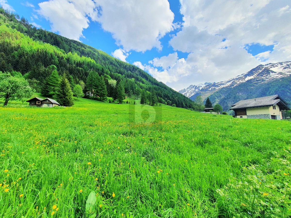 TERRAINS CONSTRUCTIBLES, AGRICOLES ET FORESTIERS - 0