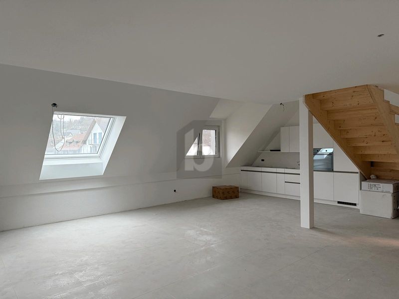 EXKLUSIV MIT GROSSER DACHTERRASSE - 1