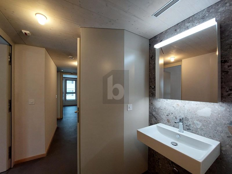 DESIGN, NATUR UND ALPINE ELEGANZ - 4