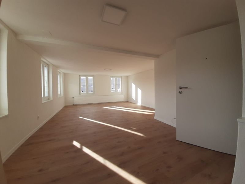 Grosszügige, moderne Wohnung - 1