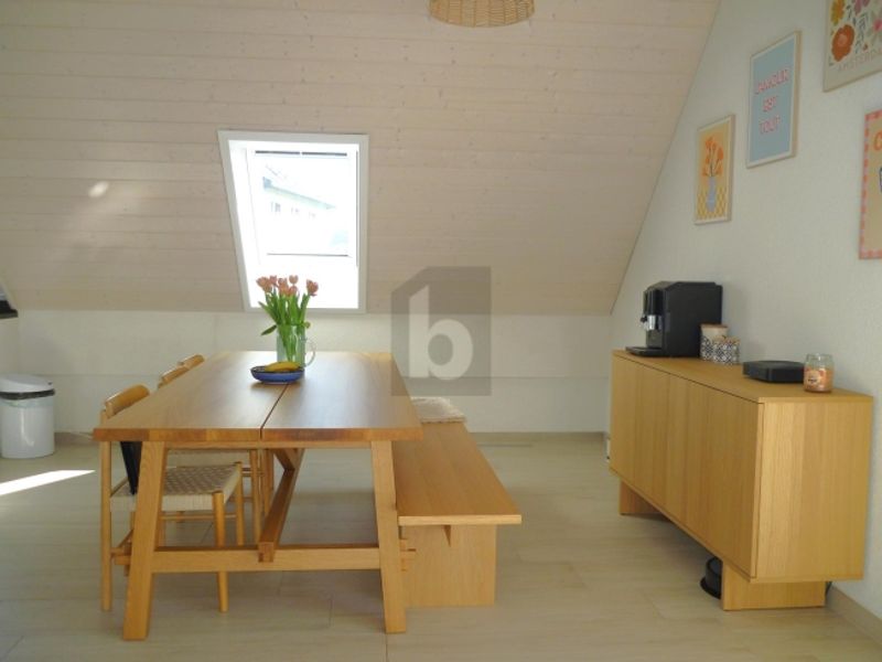 MODERNE, SPACIEUX, ET EN BORDURE DE NATURE ! - 3