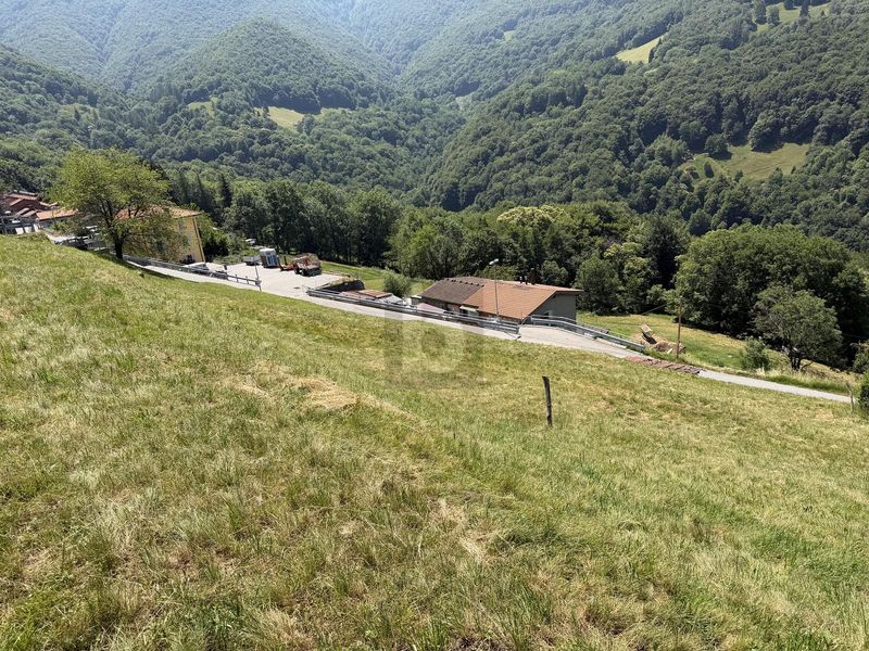 ZONA SOLEGGIATA - 1