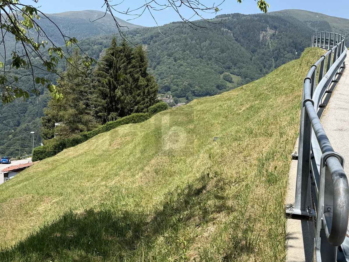 ZONA SOLEGGIATA - 1