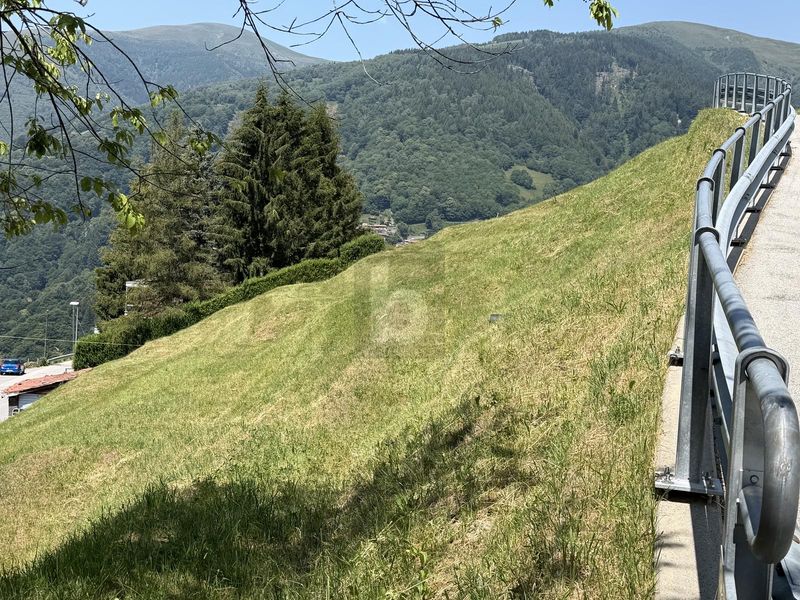 ZONA SOLEGGIATA - 2