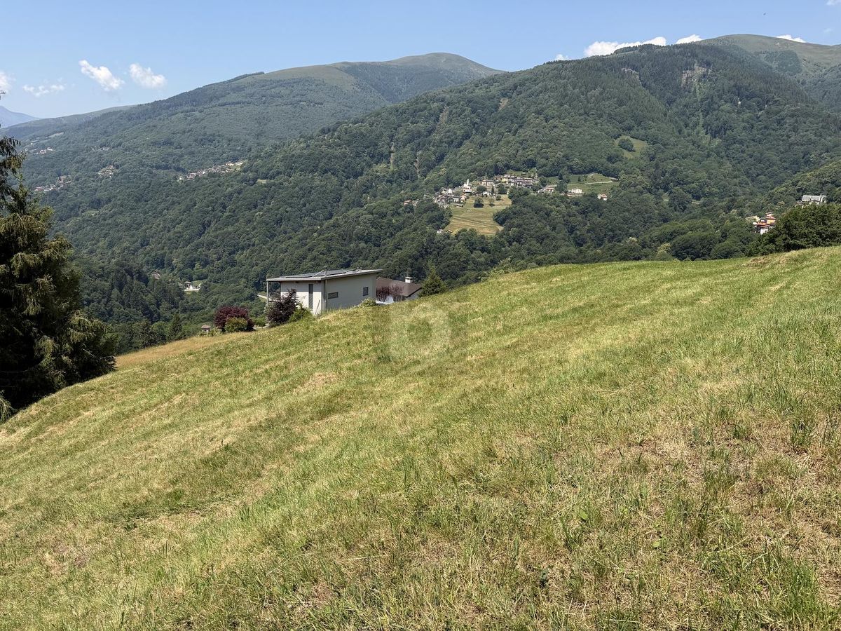 ZONA SOLEGGIATA - 2