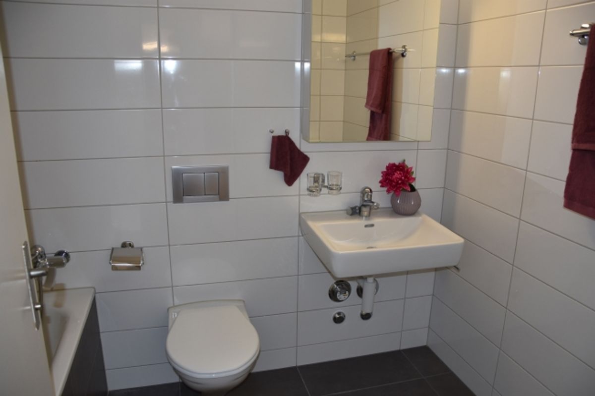 Grosszügige Wohnung mit Cheminée - 7