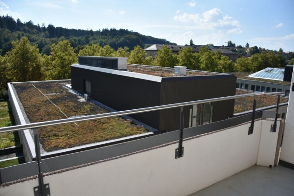 Grosszügige Wohnung mit Cheminée - 9