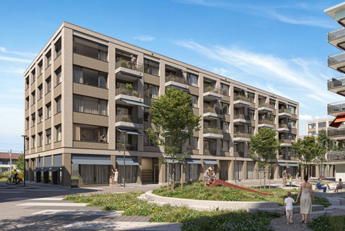 FIFTY - Neubauwohnung im Aebi-Areal - 3