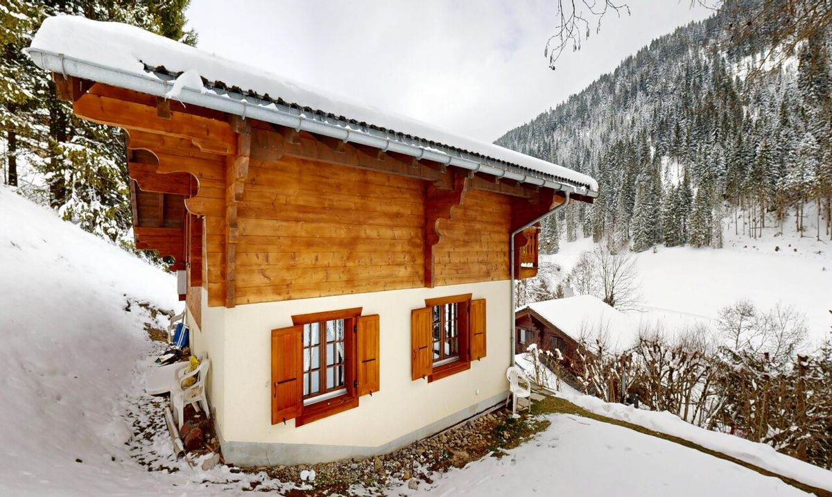 Exclusive: 4-bedroom chalet with garage - 1