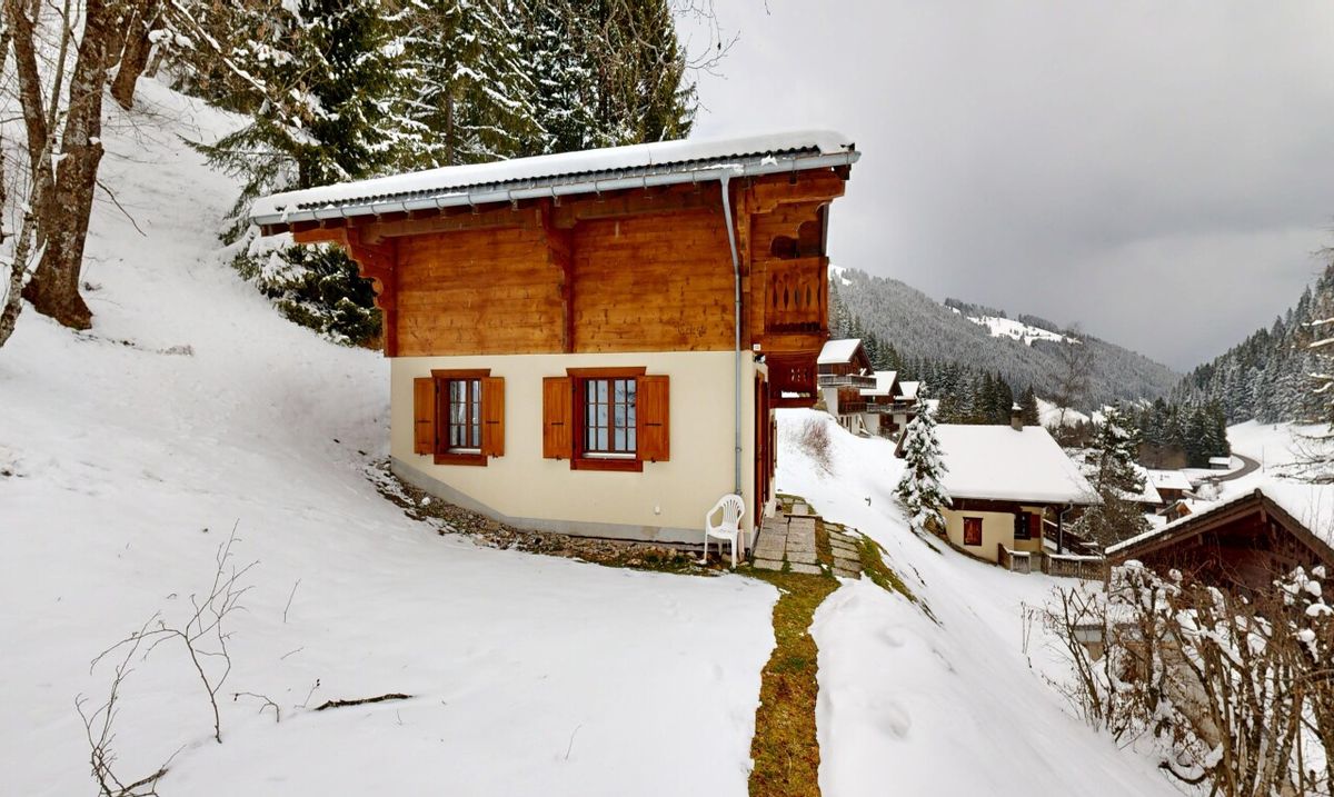 Exclusive: 4-bedroom chalet with garage - 2