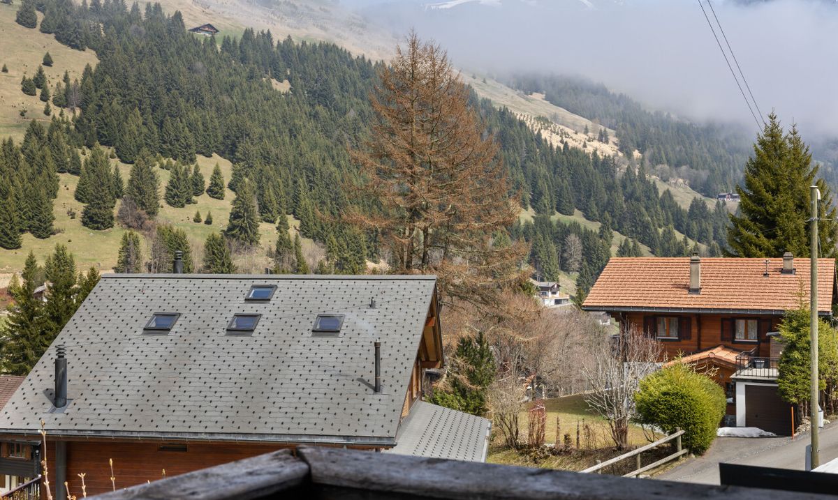 Maison individuelle in à Morgins - 9
