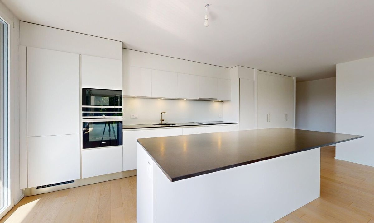A stunning flat with panoramic views of the lake and the Alps - 3