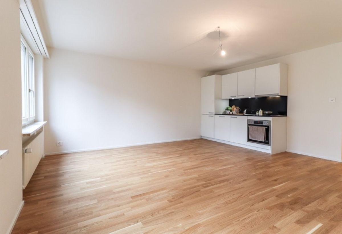 1,5 Zimmerwohnung am Musical Theater - 2