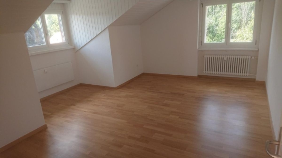 Tolle 2.5-Zimmer-Dach-Wohnung mit Nebenraum zu vermieten - 1