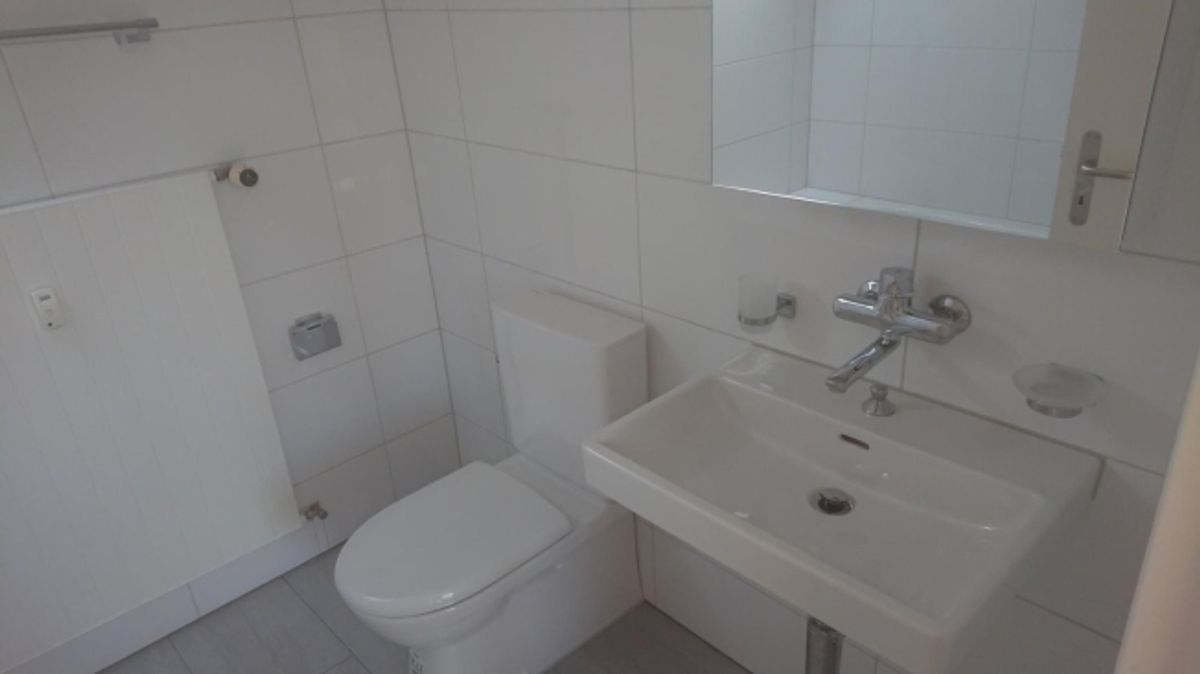 Tolle 2.5-Zimmer-Dach-Wohnung mit Nebenraum zu vermieten - 5