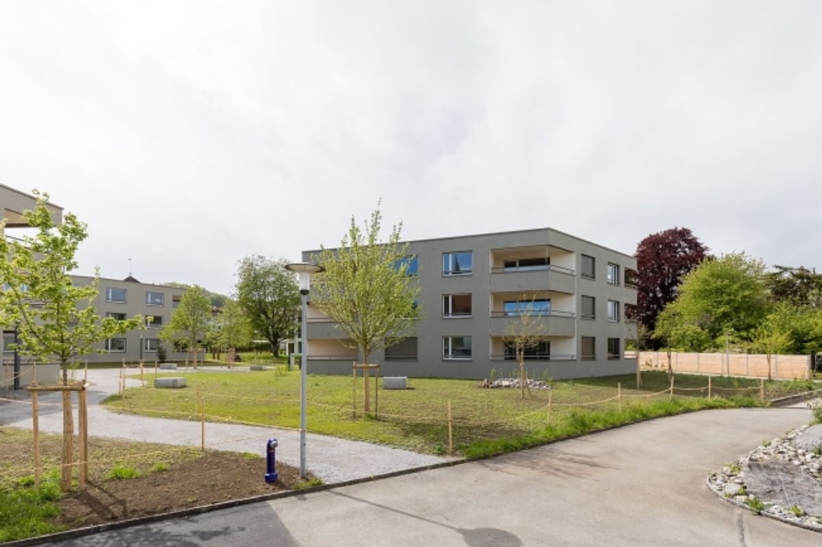 Gemütlich Wohnen in Boniswil - 0