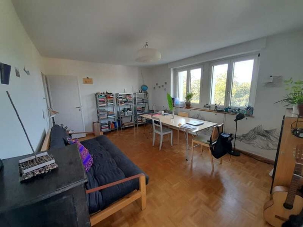 2 ZI-WOHNUNG IN BASEL - ST. JOHANN, MÖBLIERT, TEMPORÄR - 0
