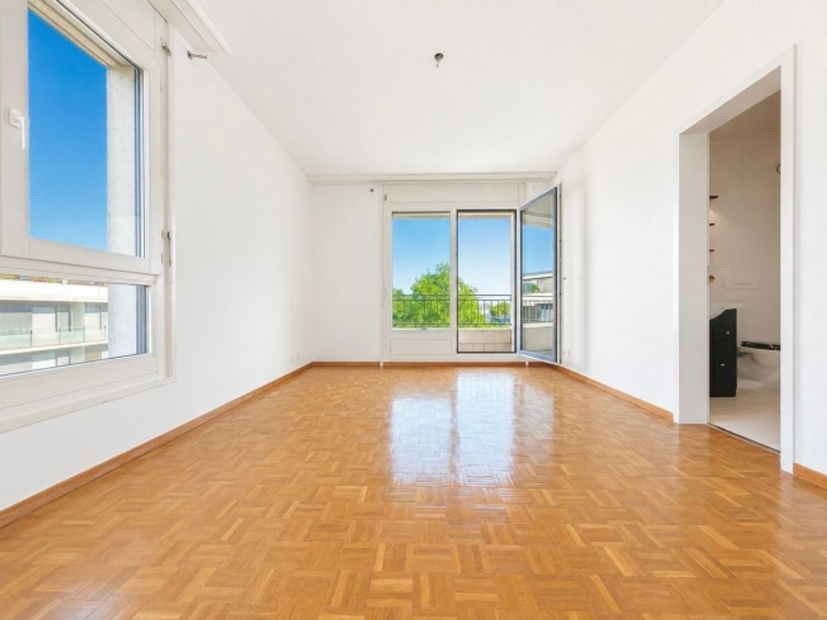Geräumige 4-Zimmer-Wohnung in Petit Sacconex - 11