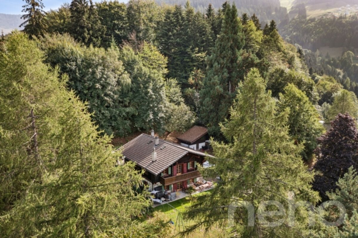 Les Giettes Charakterchalet auf einem außergewöhnlichen Grundstück - 1