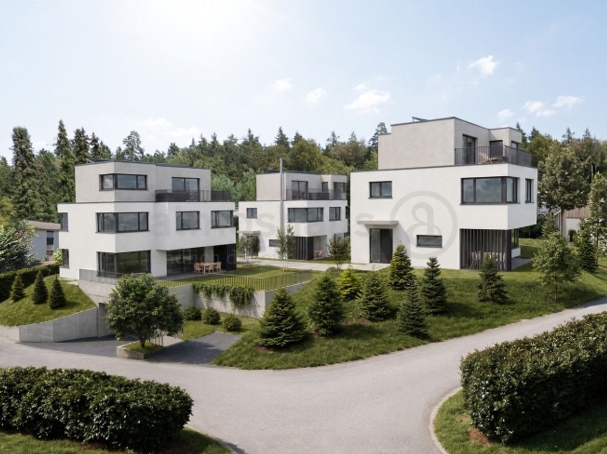 Gehobenes Neubauprojekt in Dietikon 6.5 Zimmer, Attika & Whirlpool - 0