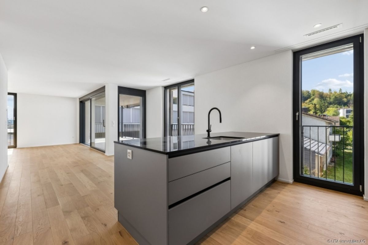Hochwertige 4½-Zimmer-Neubauwohnung mit grosser Terrasse - 0