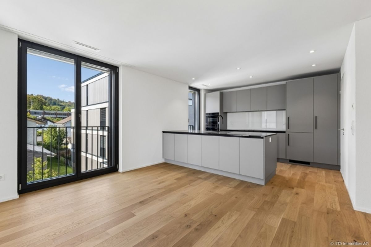 Hochwertige 4½-Zimmer-Neubauwohnung mit grosser Terrasse - 1