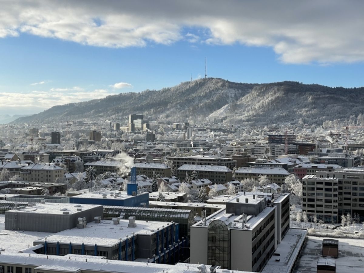 3½ ZI-WOHNUNG IN ZÜRICH - KREIS 9 ALTSTETTEN, MÖBLIERT, TEMPORÄR - 4
