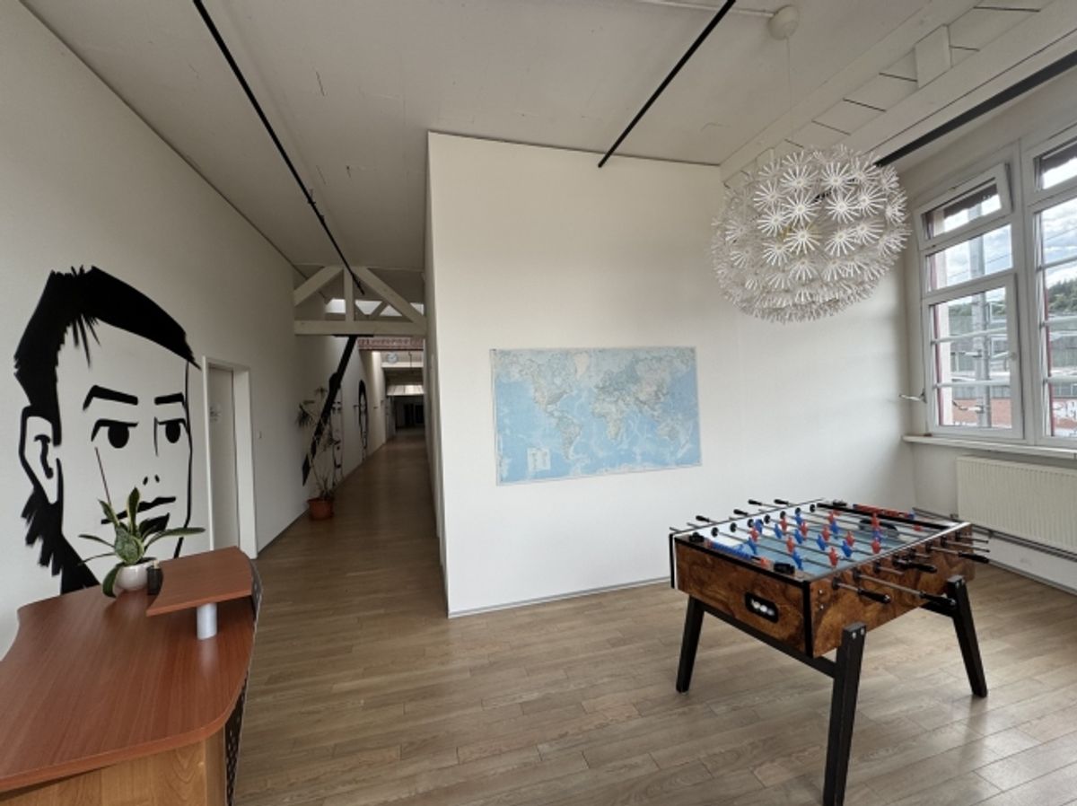 Heller und grosszügiger LOFT- Büro- oder Gewerberaum - 5
