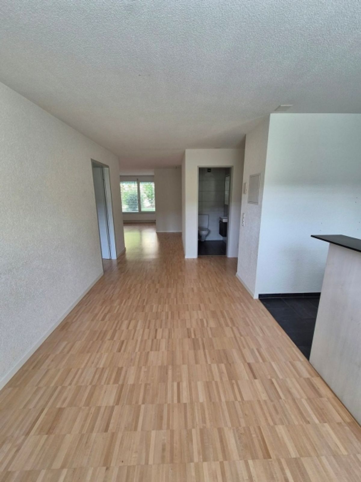 Moderne 4.5 Zimmerwohnung mit grosszügiger Terrasse - 2
