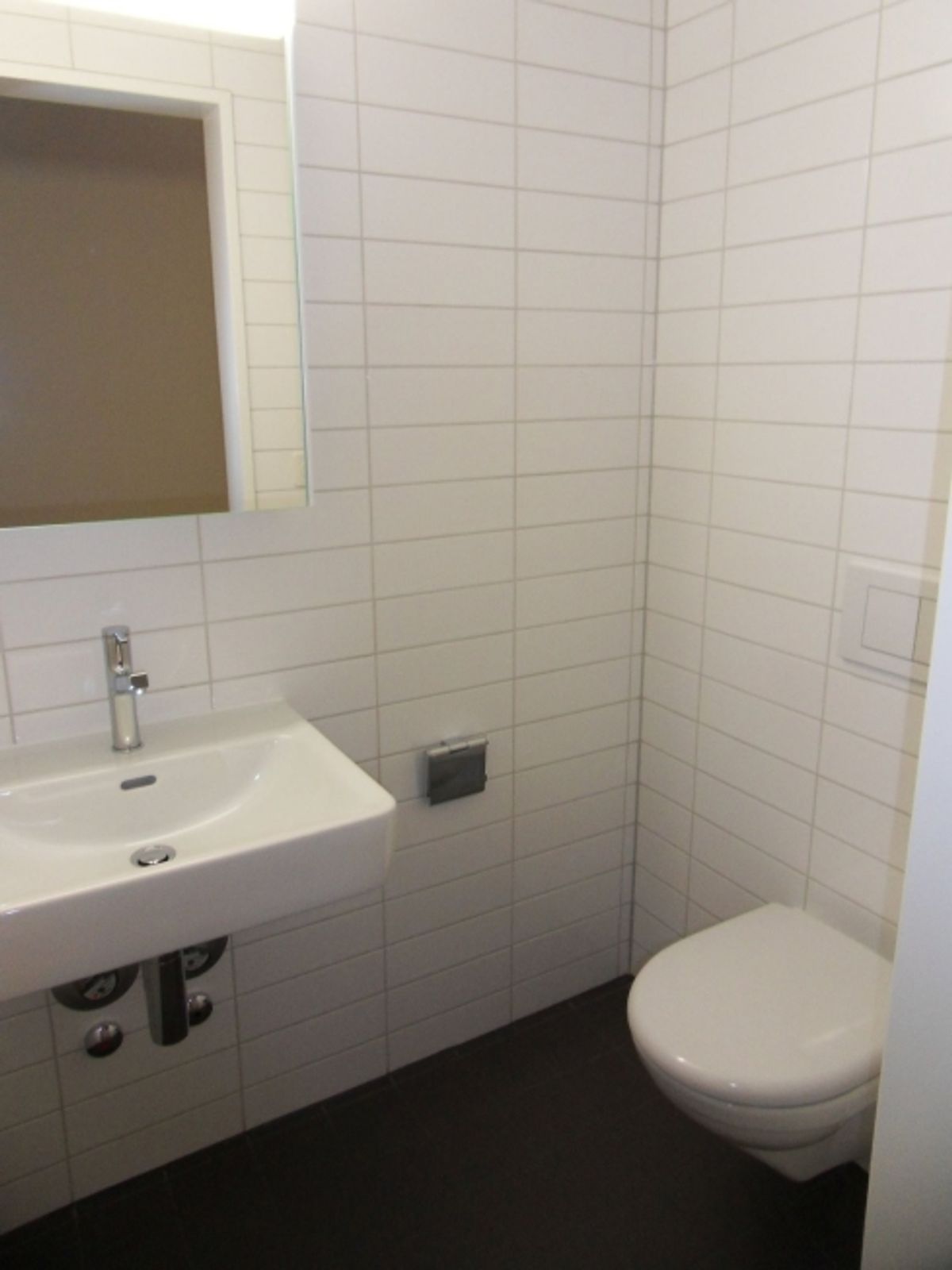 3.5 Zimmer-Wohnung am grünen Stadtrand von Muttenz - 5