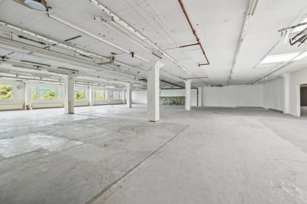 Flexible Flächenlösungen von 1'481 m² bis 2'500 m² zu attraktiven Konditionen - 2