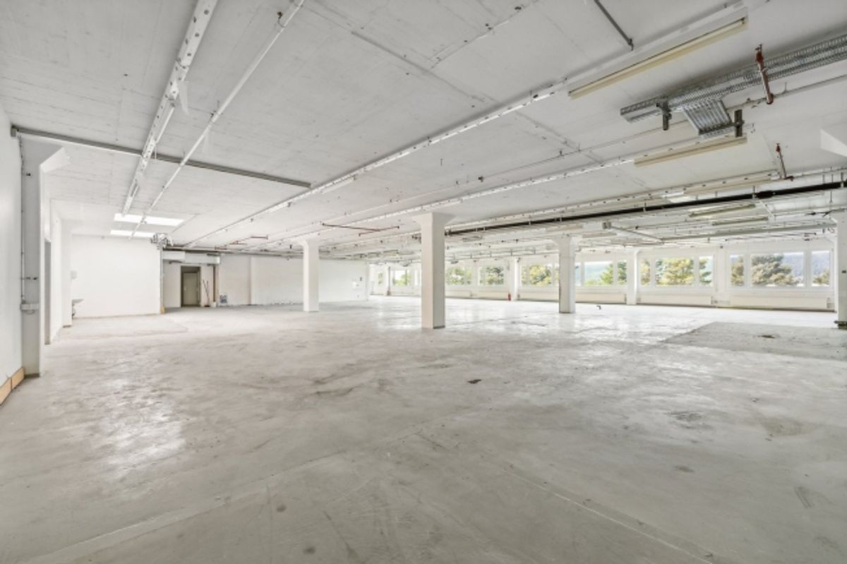 Flexible Flächenlösungen von 1'481 m² bis 2'500 m² zu attraktiven Konditionen - 3