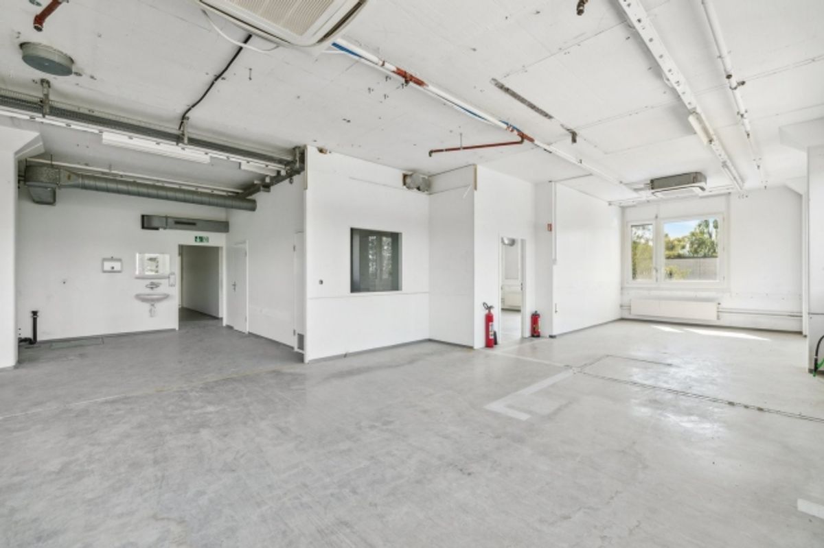Flexible Flächenlösungen von 1'481 m² bis 2'500 m² zu attraktiven Konditionen - 4