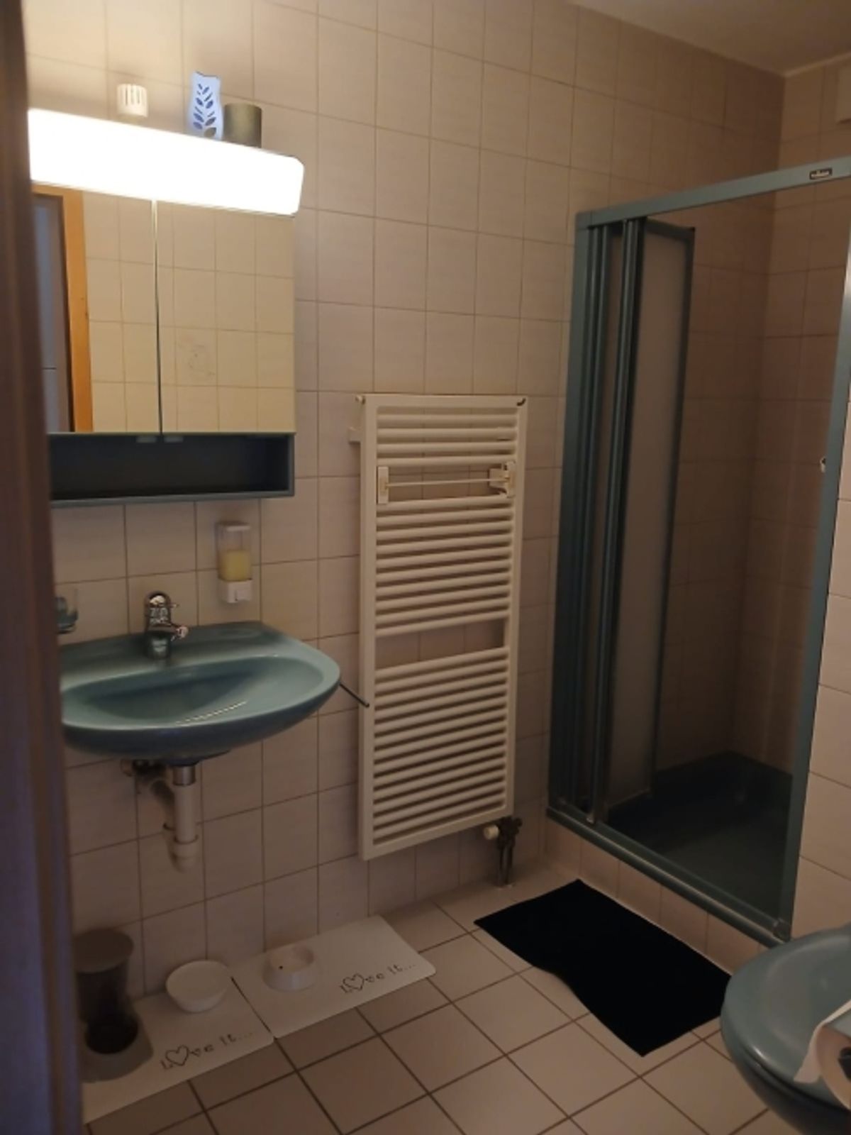 Helle und grosszügige 5.5 Zimmerwohnung - 10