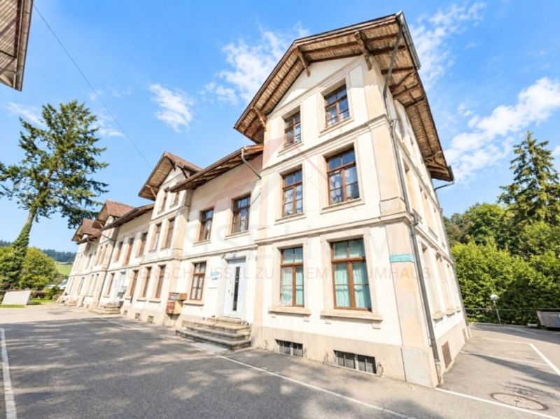 Historisches Fabrikensemble mit bestehendem Ertrag und Entwicklungspotenzial - 1