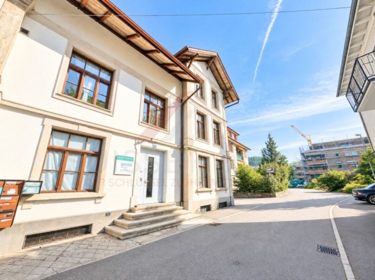 Historisches Fabrikensemble mit bestehendem Ertrag und Entwicklungspotenzial - 1